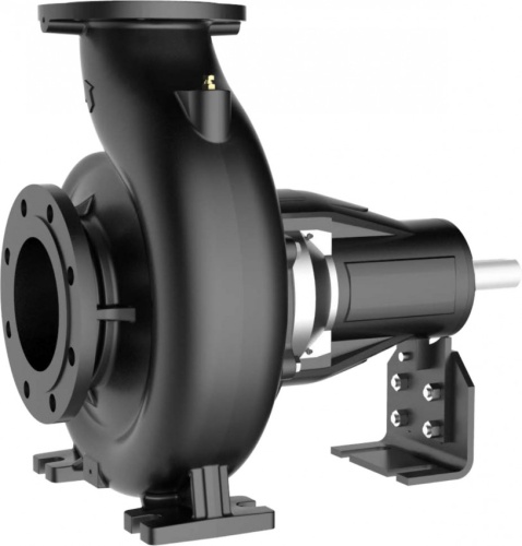Центробежный насос FANCY - FS 80-315/900 из чугуна арт. 156FS334072
