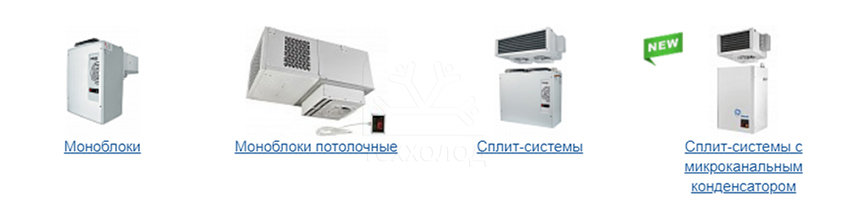 SPP09092019_2_.jpg
