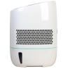 Бытовая мойка воздуха Winia AWI-40PTTCD