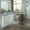 Стальной трубчатый радиатор 3-колончатый Zehnder 3057/24 TL