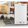 Настенный газовый котел Roda Vortech Duo CS12