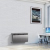 Биметаллический радиатор Royal Thermo BiLiner 500 Silver Satin 12 секц.