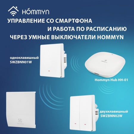 Вытяжка для ванной диаметр 120 мм Electrolux EAFM-120