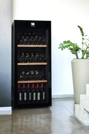 Мультитемпературный шкаф, Avintage модель DVP180G