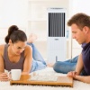 Климатизатор Symphony Diet 22i